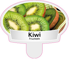 Segnagusti kiwi